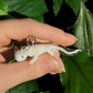 axolotl pendant/figurine